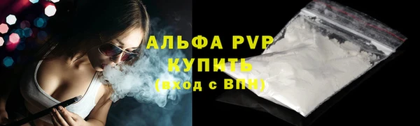гашик Касимов