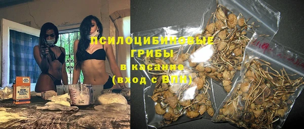 сатива Карталы