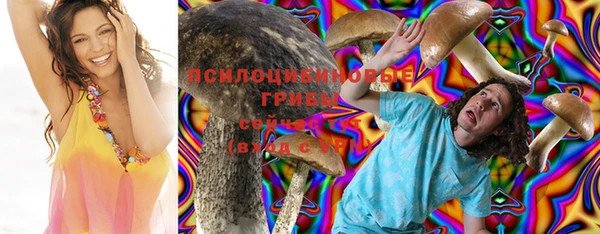 гашик Касимов