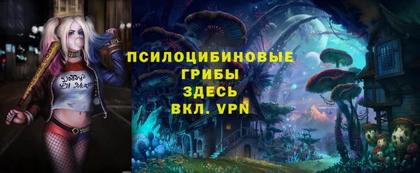 гашик Касимов