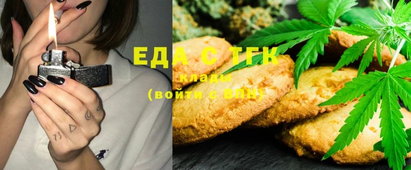 гашик Касимов