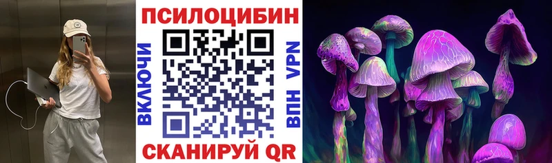 Купить  Заозёрск  Галлюциногенные грибы MAGIC MUSHROOMS 